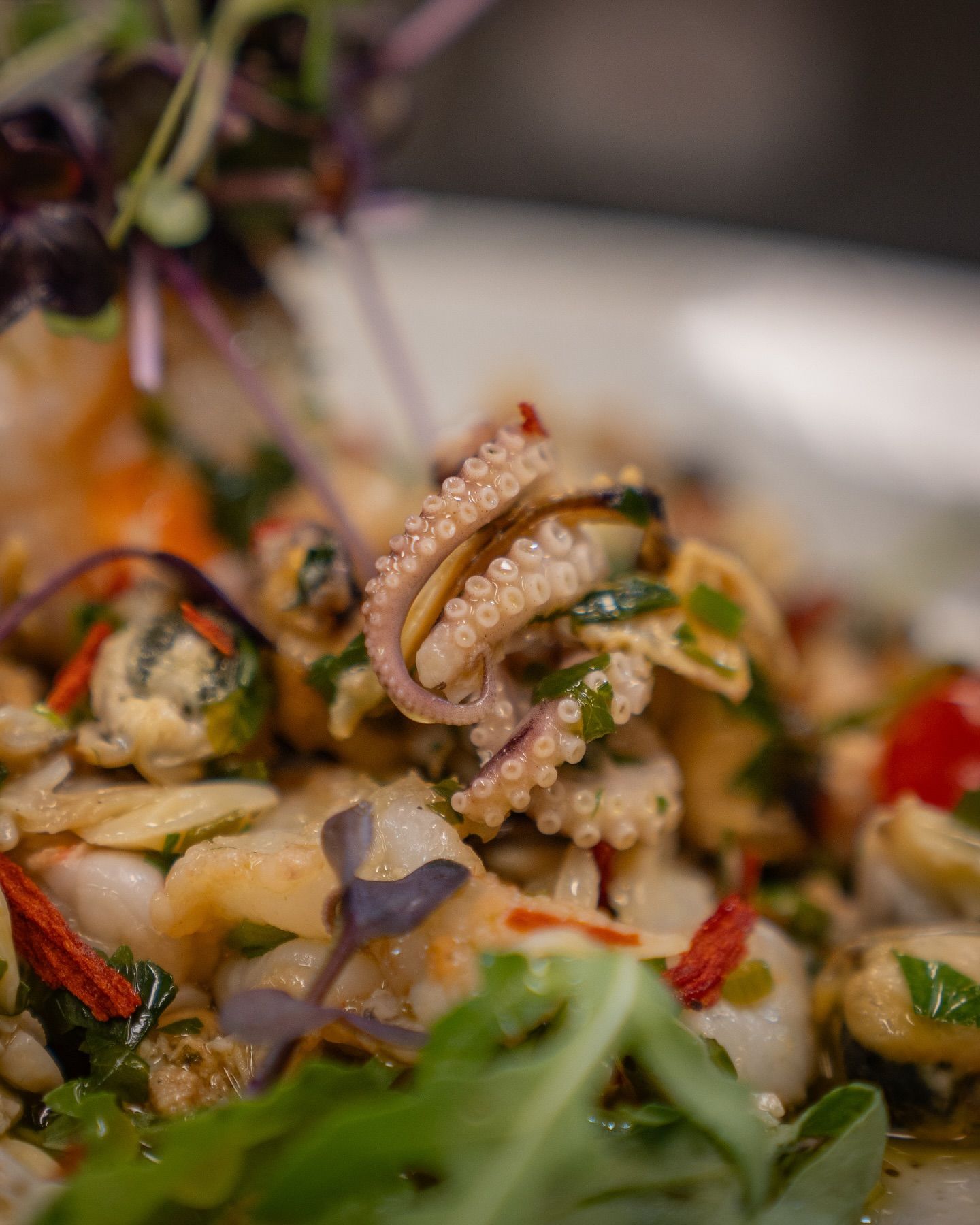 Meeresfrüchtesalat aus unserer aktuellen Tageskarte! 🐟🦐🦑#b3 #wattens #restaurant #bar #lounge #food #foodlover #drinks #beer #wine #party #events #catering #foodporn #instafood #dinner #breakfast #lunch #delicious #yummy #coffee #cafe #tasty #cocktails #homemade #gastro #gastronomie #tirol #menü16#b3, #wattens, #restaurant, #bar, #lounge, #food, #foodlover, #drinks, #beer, #wine, #party, #events, #catering, #foodporn, #instafood, #dinner, #breakfast, #lunch, #delicious, #yummy, #coffee, #cafe, #tasty, #cocktails, #homemade, #gastro, #gastronomie, #tirol, #menü