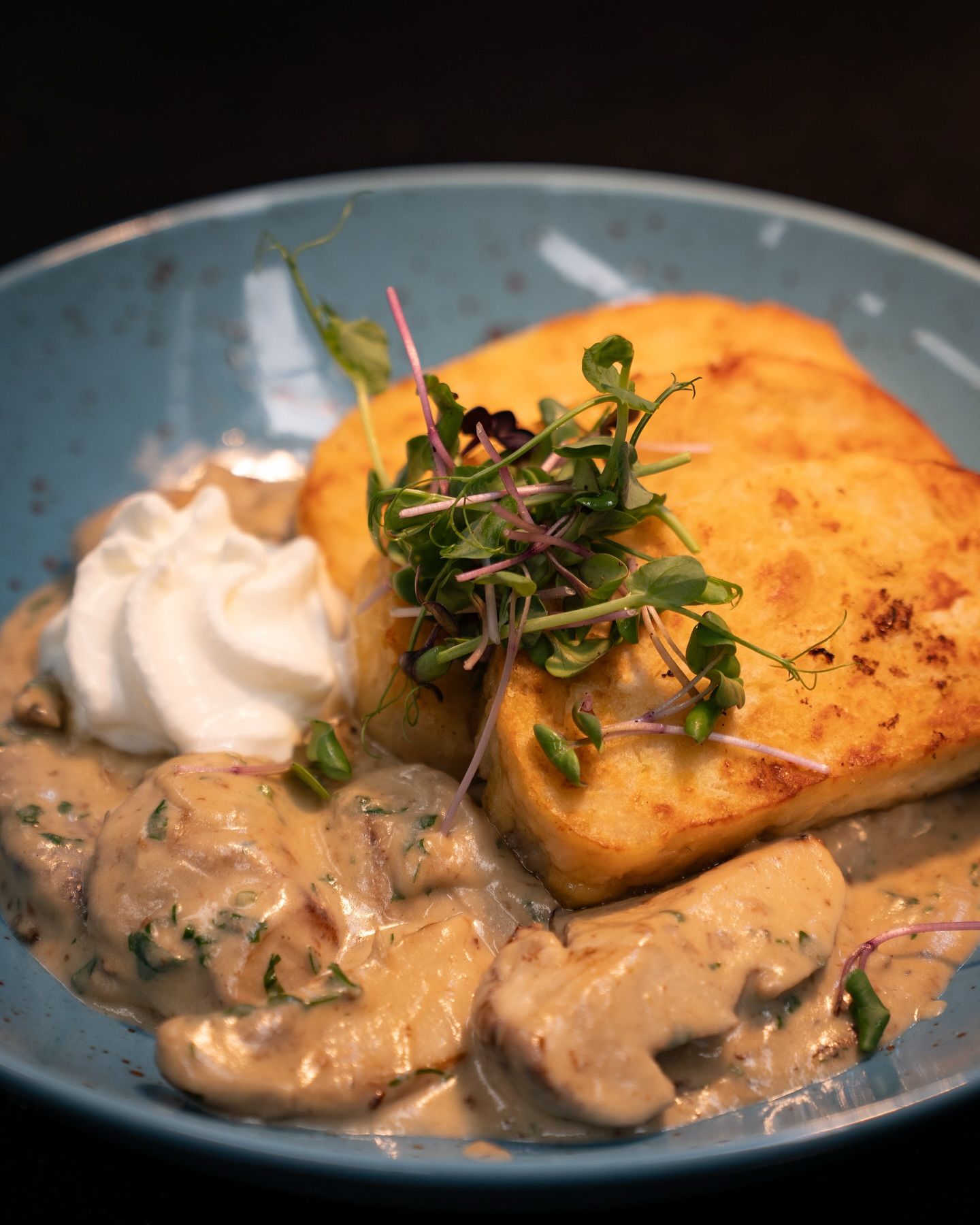 Steinpilze a la Creme Knödel aus unserer aktuellen Tageskarte! 🍄🟫#b3 #wattens #restaurant #bar #lounge #food #foodlover #drinks #beer #wine #party #events #catering #foodporn #instafood #dinner #breakfast #lunch #delicious #yummy #coffee #cafe #tasty #cocktails #homemade #gastro #gastronomie #tirol #menü22#b3, #wattens, #restaurant, #bar, #lounge, #food, #foodlover, #drinks, #beer, #wine, #party, #events, #catering, #foodporn, #instafood, #dinner, #breakfast, #lunch, #delicious, #yummy, #coffee, #cafe, #tasty, #cocktails, #homemade, #gastro, #gastronomie, #tirol, #menü