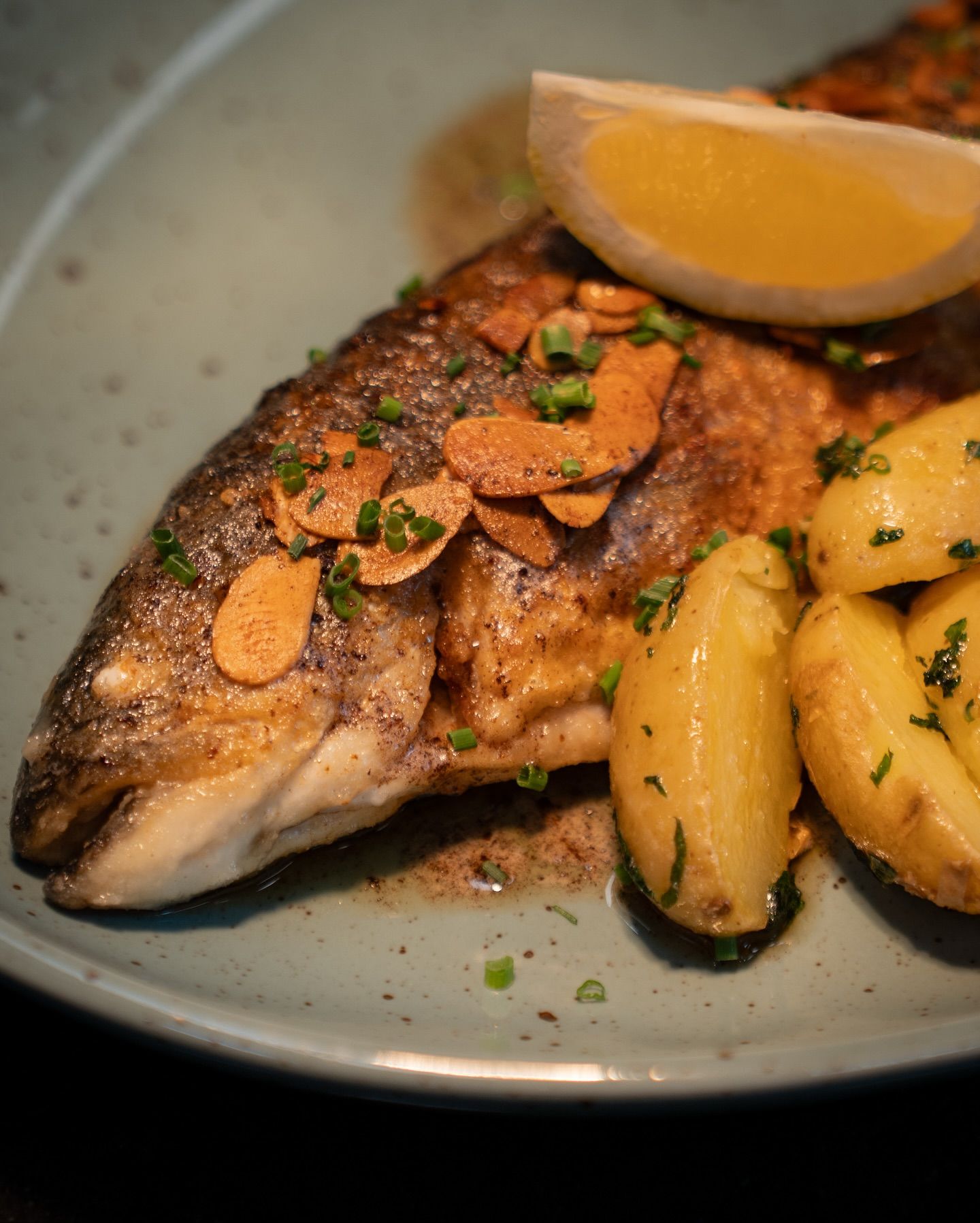 „Kwell-Saibling“ Müllerin Art aus unserer aktuellen Tageskarte! 🐟#b3 #wattens #restaurant #bar #lounge #food #foodlover #drinks #beer #wine #party #events #catering #foodporn #instafood #dinner #breakfast #lunch #delicious #yummy #coffee #cafe #tasty #cocktails #homemade #gastro #gastronomie #tirol #menü21#b3, #wattens, #restaurant, #bar, #lounge, #food, #foodlover, #drinks, #beer, #wine, #party, #events, #catering, #foodporn, #instafood, #dinner, #breakfast, #lunch, #delicious, #yummy, #coffee, #cafe, #tasty, #cocktails, #homemade, #gastro, #gastronomie, #tirol, #menü